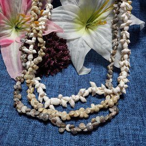 Set of 3 Shell Necklaces  Z10